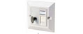 HellermannTyton Cat5e UTP Interlock Module