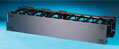 Mighty Mo 6 Multi Finger Management 2U Panel