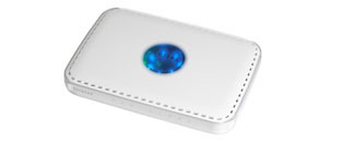 Netgear WPN824