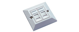 Cat6 UTP RJ45 2 in 1 Module/Faceplate