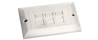 Cat6 UTP RJ45 3 in 1 Module/Faceplate