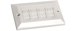 Cat6 UTP RJ45 4 in 1 Module/Faceplate