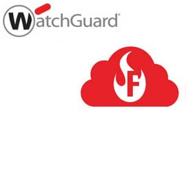 WatchGuard Firebox Cloud, Medium