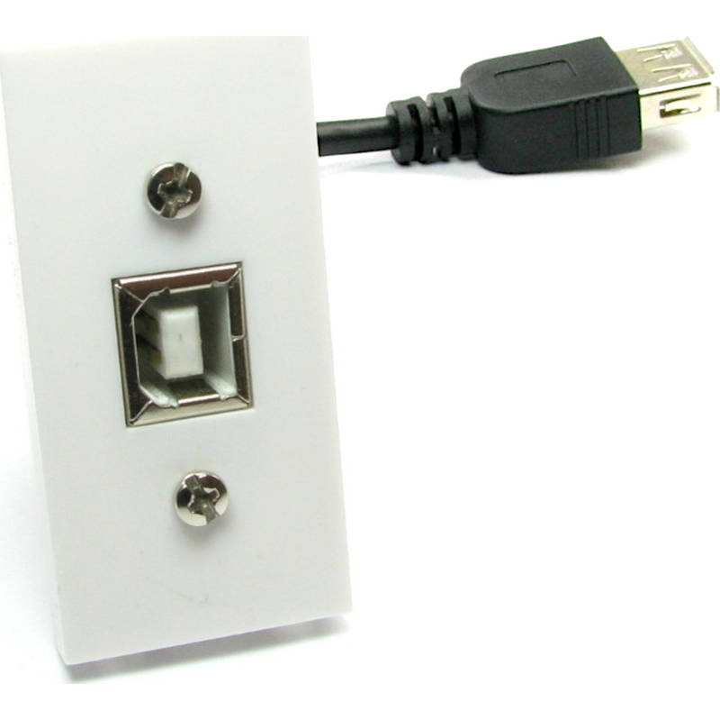 aura Euro Module USB 2.0 Type B Fly Lead White 