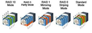 Buffalo Raid