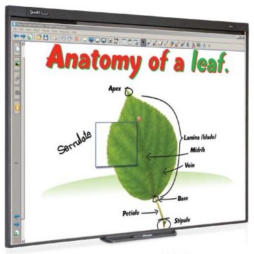 Smart SB480 SMART 77in Interactive Whiteboard, Dual Touch