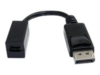 StarTech DisplayPort Adapters / Converters