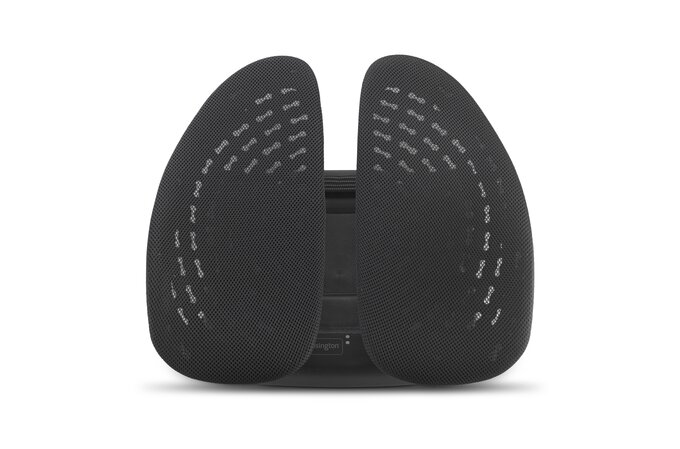 You Recently Viewed Kensington K60412WW SmartFit Conform Back Rest Image