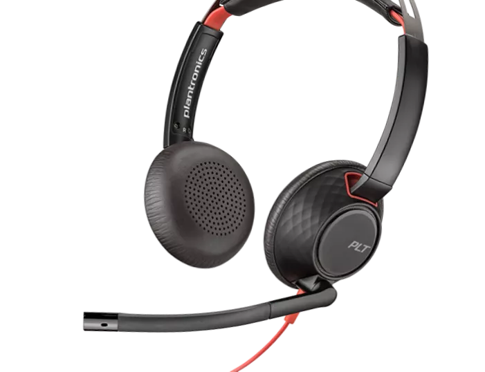 You Recently Viewed Poly 207586-201 Blackwire 5220 Headset, Stereo, USB-C Image