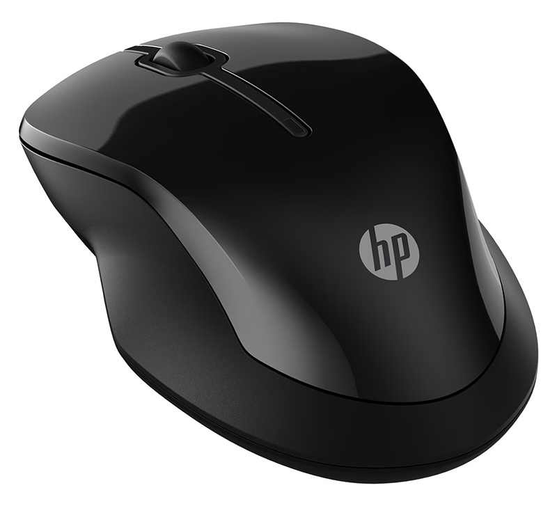 You Recently Viewed HP 6V2J7AA#ABB 250 Dual Mouse Image