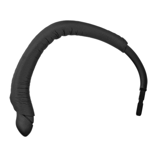 You Recently Viewed EPOS 1000732 EH 10 B with sleeve Image