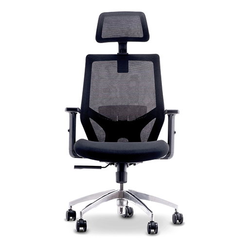 You Recently Viewed Urban Factory ESC01UF ERGO: Ergonomic Adjustable Working Chair Image
