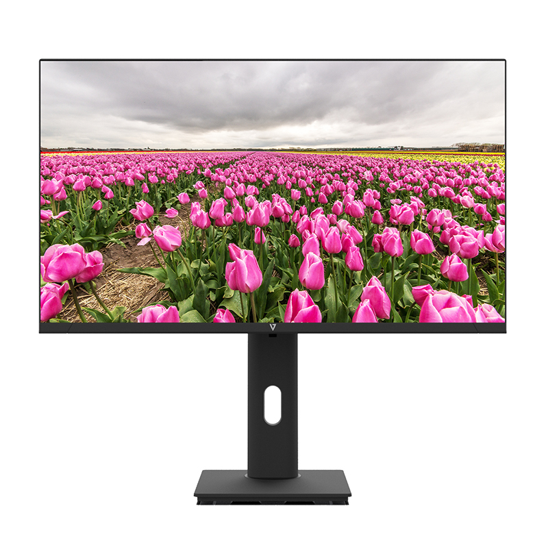 V7 L238V0-HAS-E 23.8 Inch FHD 1920 x 1080 IPS LED Monitor