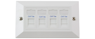 You Recently Viewed CE 4 x RJ45 Cat5e Modules in a Doublegang Faceplate Image