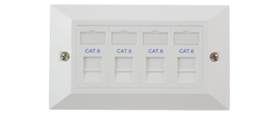 You Recently Viewed CE 4 x RJ45 Cat6 Modules in a Doublegang Faceplate Image