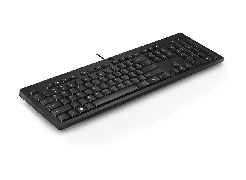 HP 266C9AA 125 Wired Keyboard