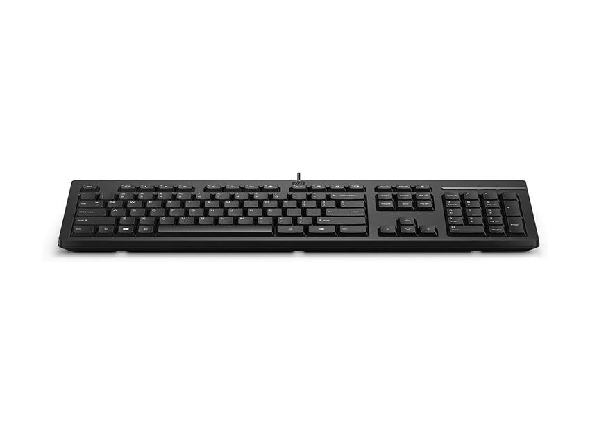HP 266C9AA 125 Wired Keyboard