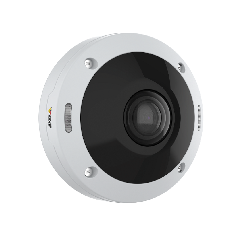Axis 02100-001 M4308-PLE Panoramic Camera - 12 MP Outdoor-ready Dome with Audio Capture