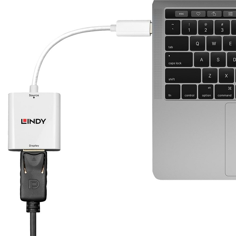 Lindy 43245 USB 3.1 Type C to DisplayPort Adapter Converter