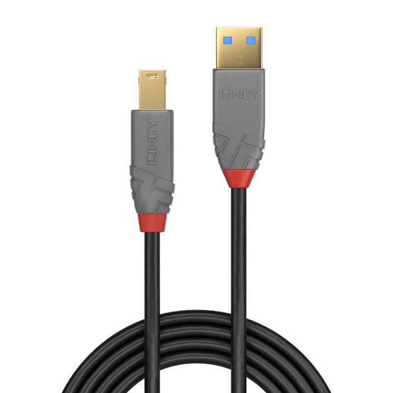 Lindy 3.2 Type A to B Cable 5Gbps Anthra Line