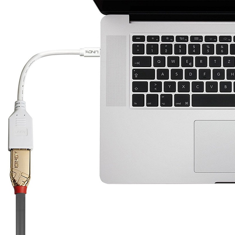 Lindy 41021 0.20m Mini DisplayPort to DisplayPort Adapter
