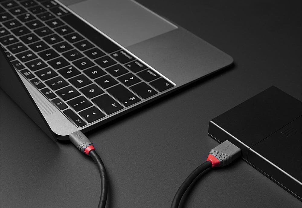 Lindy USB 3.2 Type C to Micro-B Cable, 5Gbps, Anthra Line