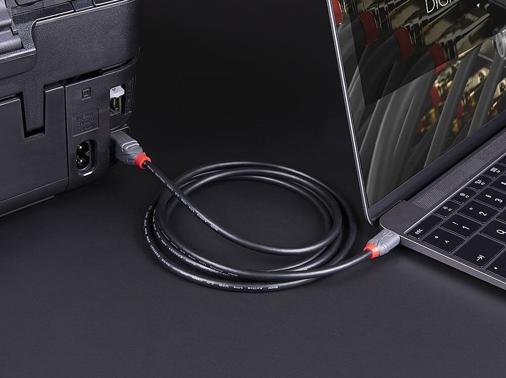 Lindy USB 3.2 Type C to B Cable, 5Gbps, Anthra Line