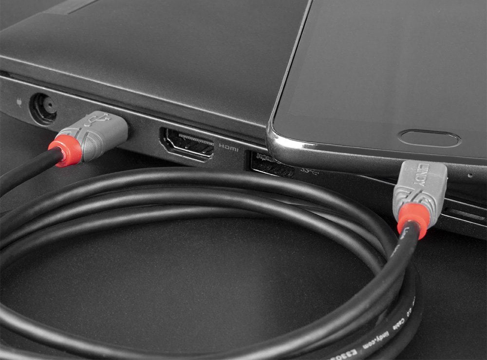 Lindy 36893 3m USB 2.0 Type C to Micro-B Cable, Anthra Line