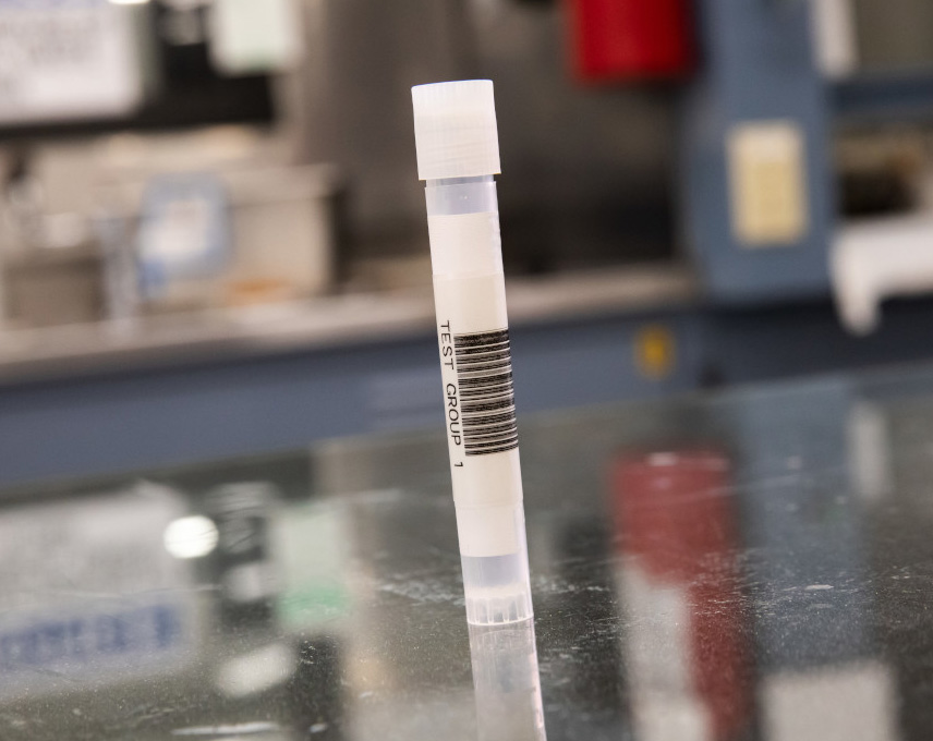 Brady B-461 Self-laminating Polyester Cryogenic Laboratory Labels - BMP51, BMP53