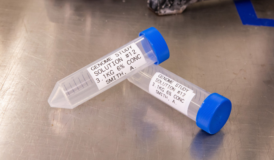 Brady B-461 Continuous Self-laminating Polyester Cryogenic Laboratory Labels
