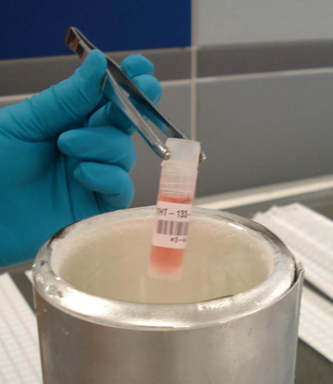 Brady B-461 Self-laminating Polyester Cryogenic Laboratory Labels