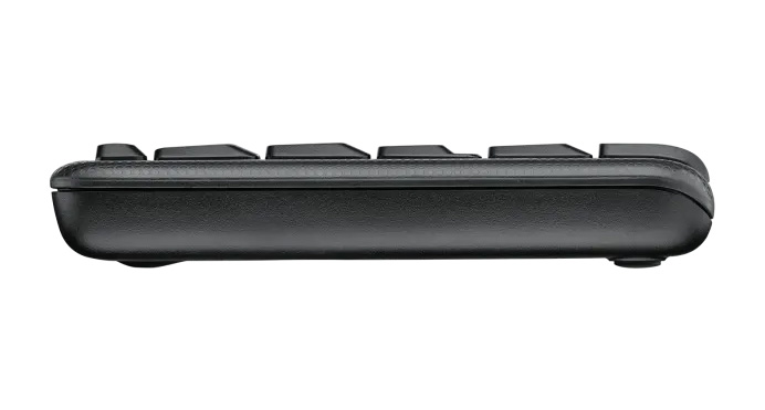 Logitech 920-007895 Wireless Combo MK220 keyboard RF Wireless English Black