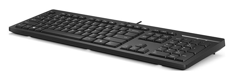 HP 125 9SR37AA#ABU Wired Keyboard