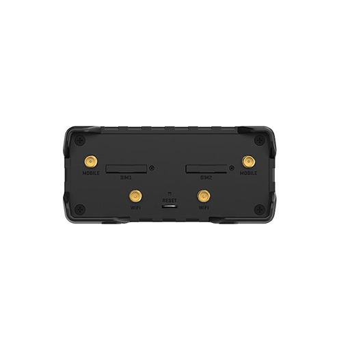 Teltonica RUT981 eSIM 4G Router - Router - WLAN