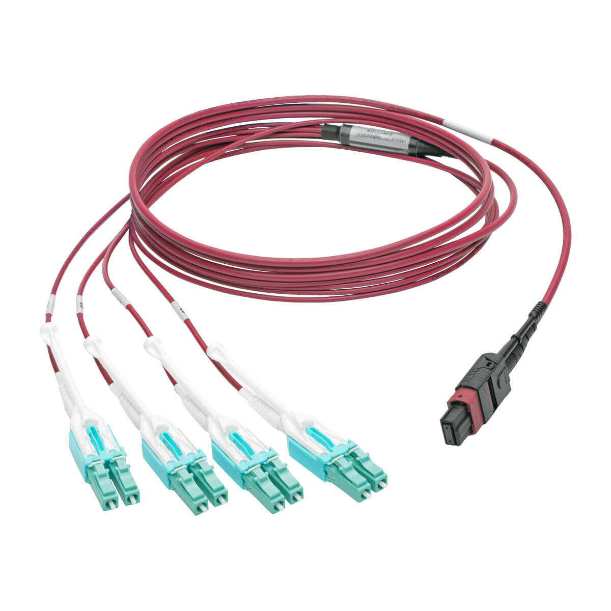 Eaton N845-02M-8L-MG 40G MTP/MPO to 4xLC Fan-Out OM4 Plenum-Rated Fiber Optic Cable, 2 m