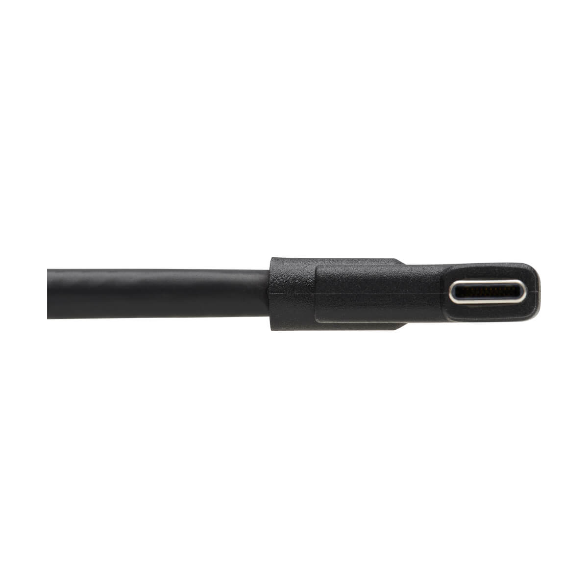 Eaton U420-01M-G25ARA USB-C Cable (M/M) - USB 3.2 Gen 2 (10 Gbps), 5A (100W) Rating, 1 m