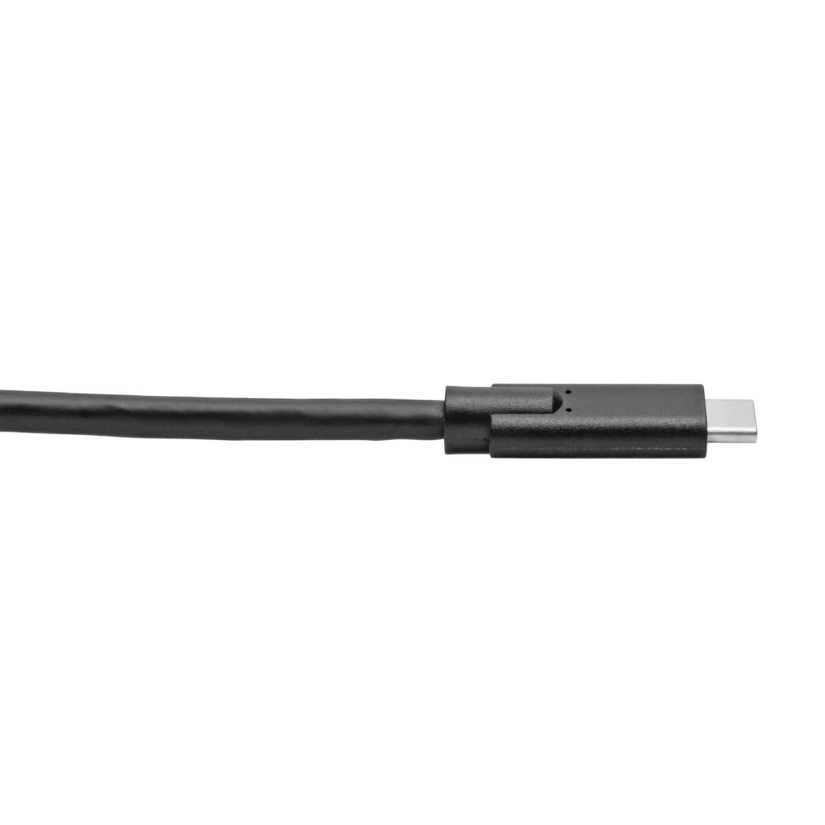 Eaton U420-010 USB-C Cable (M/M) - USB 3.1, Gen 1 (5 Gbps), 10 ft. (3.05 m)