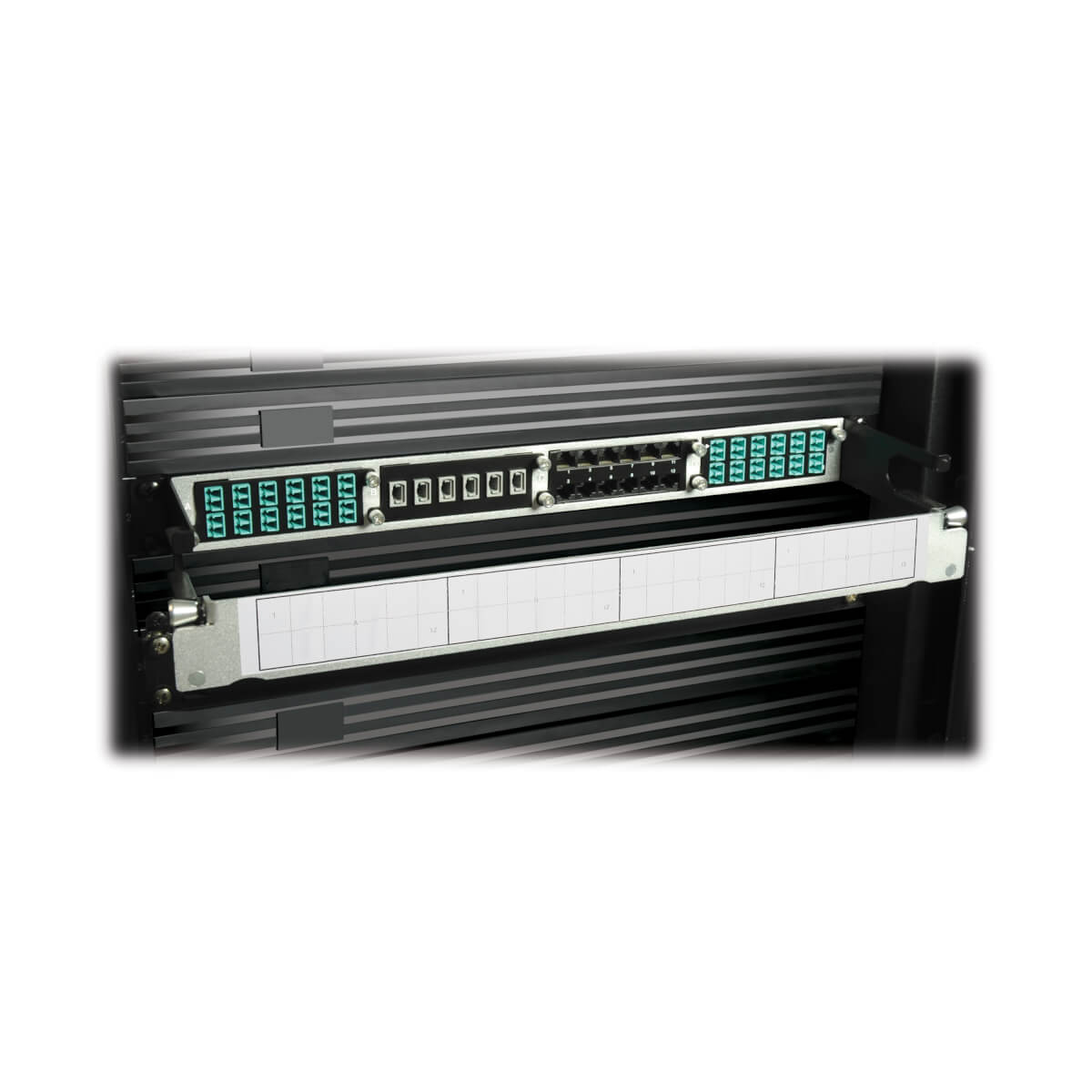 Eaton N484-12LC 10GbE Pass-Through Cassette - (x12) LC Duplex