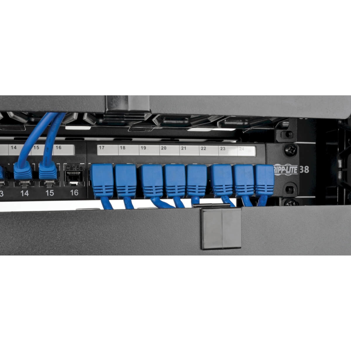 Eaton N204-BL-DN Down-Angle Cat6 Gigabit Molded UTP Ethernet Cable, Blue