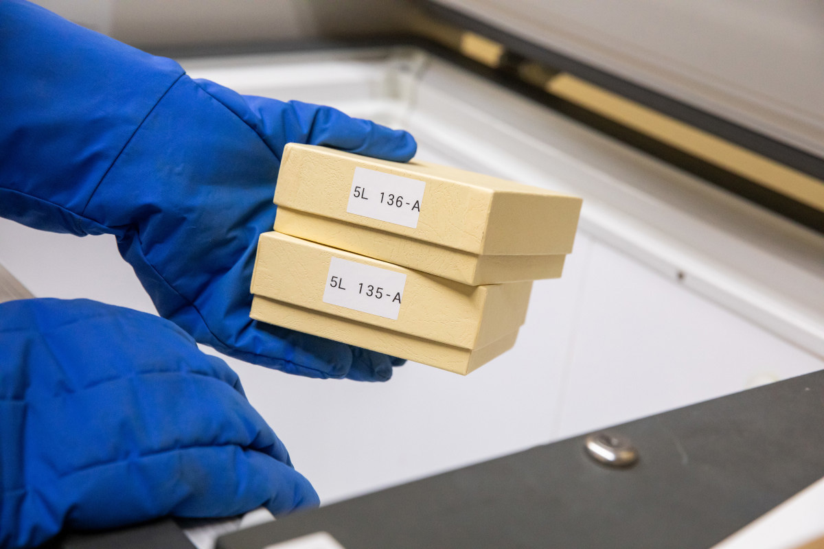 Brady B-490 BMP51, BMP53 Polyester Cryogenic Laboratory Labels