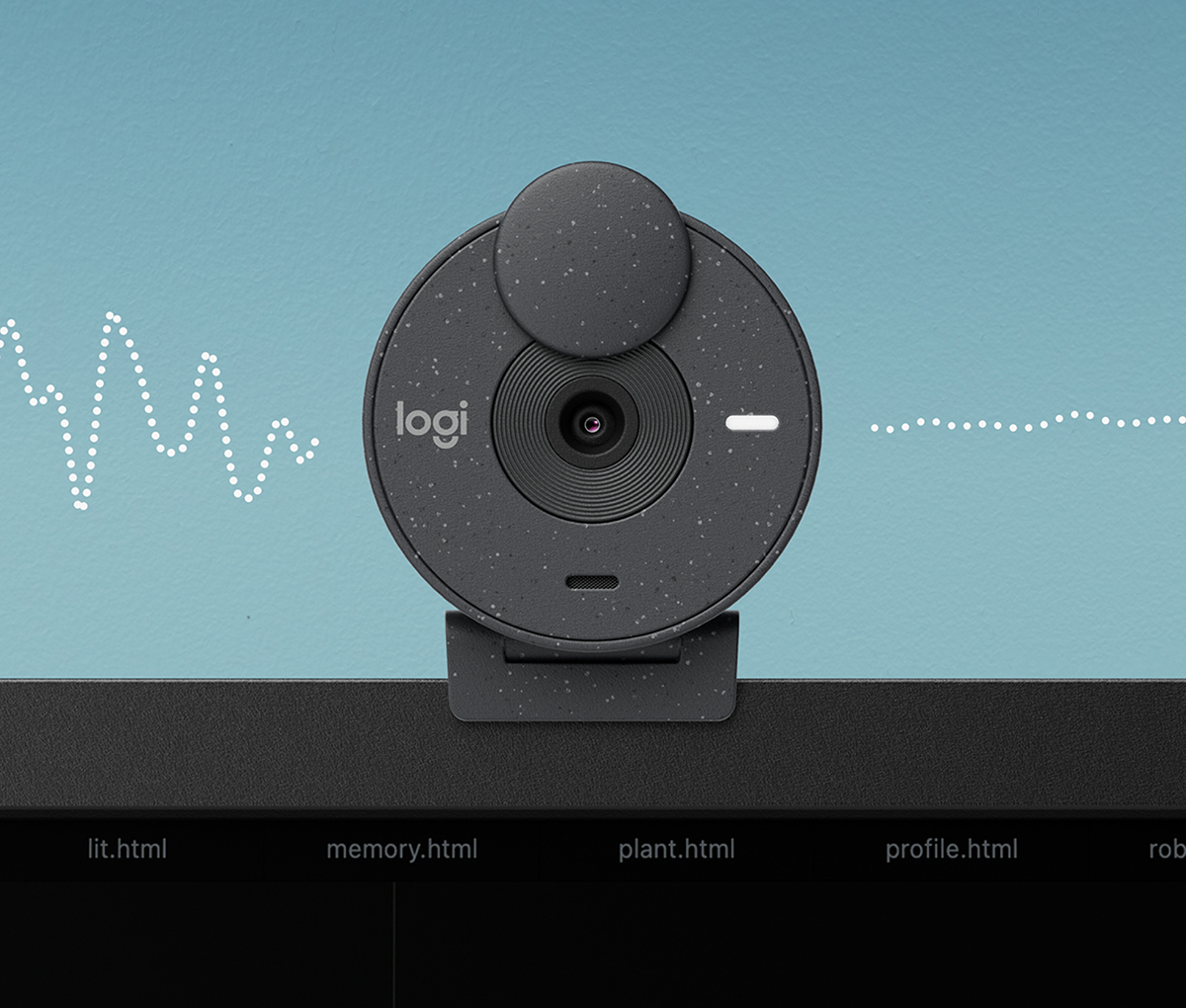 Logitech BRIO 300 1080p Webcam with Auto Light Correction