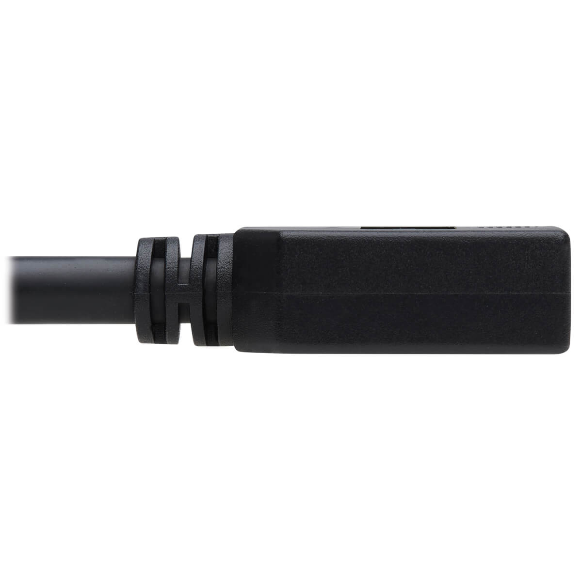 Eaton P579 DisplayPort Extension Cable with Latch, 4K @ 60 Hz