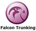 Falcon Trunking Logo