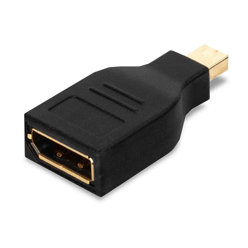 Lindy 41077 Mini DisplayPort to DisplayPort Adapter