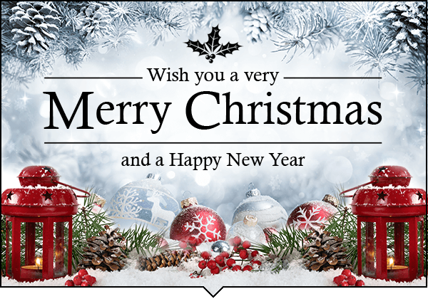 Wish you a very Merry Christmas and a Happy New Year