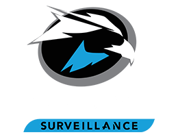 Seagate SkyHawk Surveillance Hard Drives