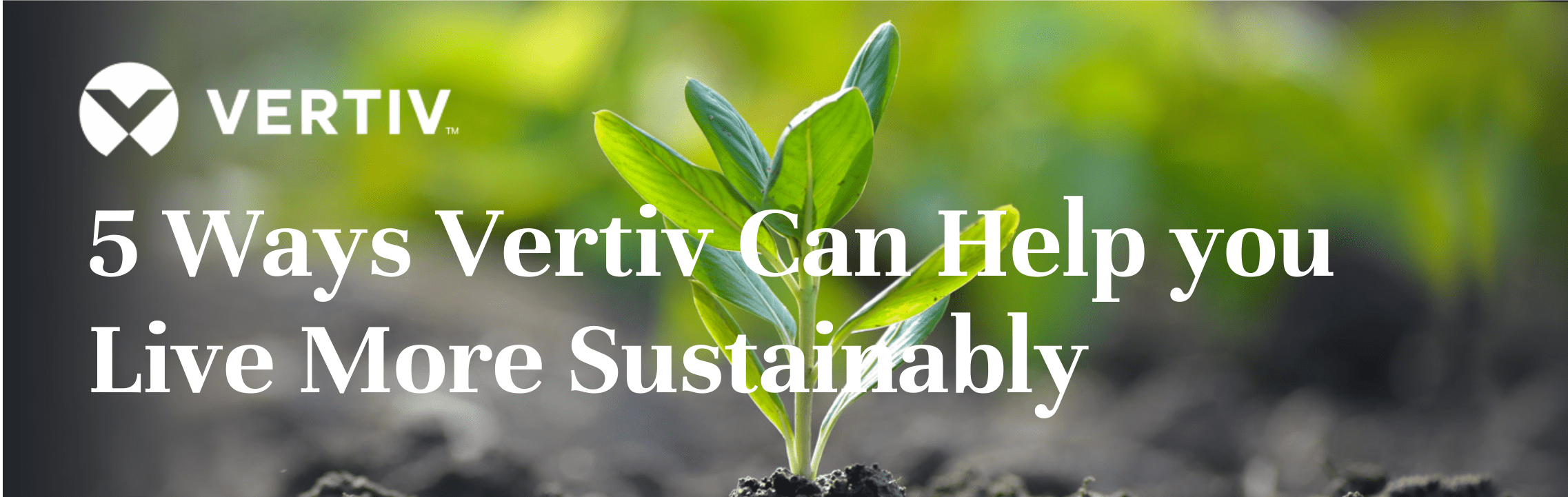 Vertiv 5 steps to sustainability header image