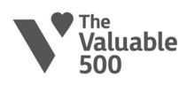  Valuable 500 image